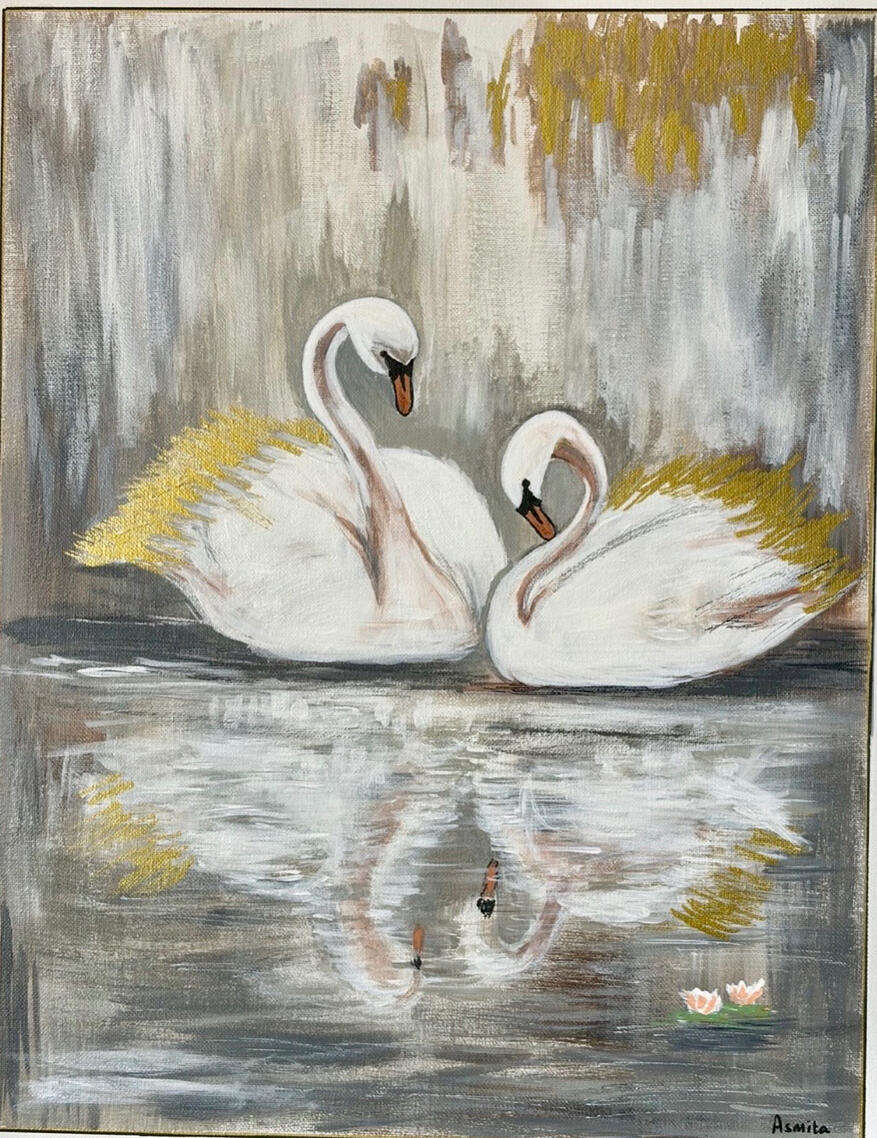 Serene pair of swans